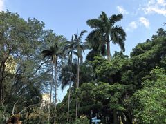 -九龙公园