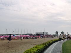 -碧海金沙