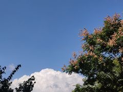 -清真·宏顺祥卤汁凉粉(大皮院店)
