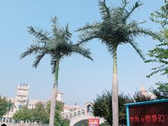 -青岛方特梦幻王国