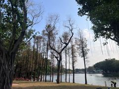 -荔湾湖公园