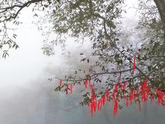 -苍山世界地质公园·石门关大峡谷