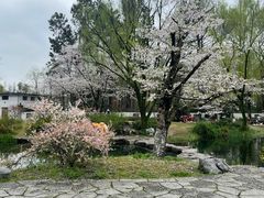 -杭州植物园