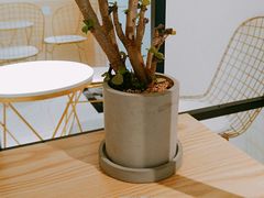 -大C柠檬茶室(天河南二路店)