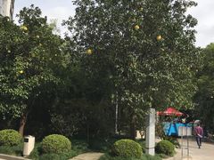 -瑞慈体检上海普陀机构
