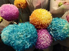 -双季花艺园艺市场(浦东店)