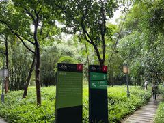 -顺峰山公园