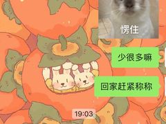 -阿男野栗王(金门路店)