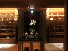 -丽江金茂隐逸酒店-凯悦臻选SPA