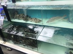 -盒马鲜生(宝地店)