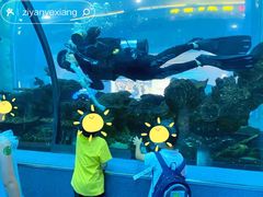 -乐从天佑城海洋馆