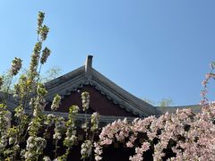 -元大都城垣遗址公园
