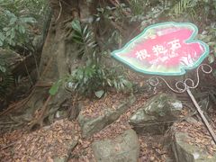 -呀诺达热带雨林