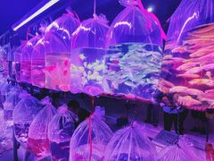 -华声天桥民俗文化园