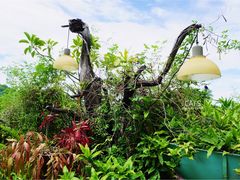 -自然餐厅(Phuket)