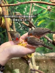 -Zoolung Zoolung动物主题公园(海信广场店)