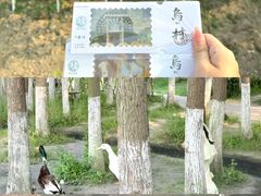 -乌村