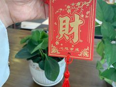 -奔跑吧乐园