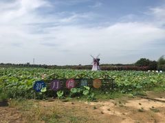 -武汉紫薇都市田园