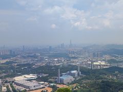 -水濂山森林公园