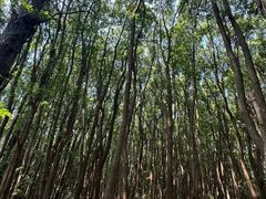 -同里国家湿地公园