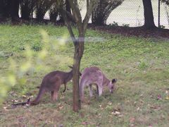 -乐和乐都主题乐园