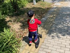 -南翔镇银翔湖公园