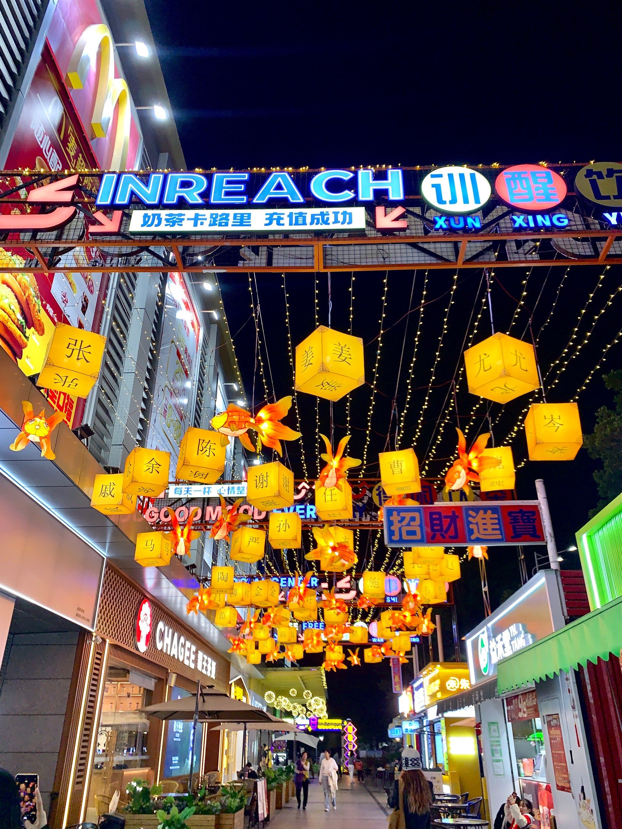 n▪好运新生•美陈展&鱼灯展
▪湛江首秀绝美凤凰飞天秀
