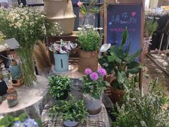 -Libra Flora花店(骆岗中央公园店)