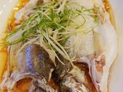 -中国饭店-餐厅