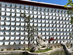 -观唐（国际）度假村温泉