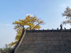 -金堂县云顶石城风景区