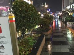 -宝健路步行街(Pedestrian Shopping Street)