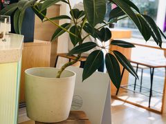 -Onirii Coffee(长乐路店)