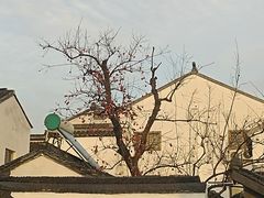 -北寺塔
