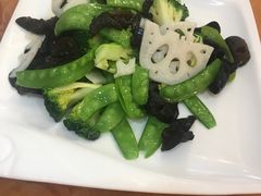 -客嘉城(西丽店)