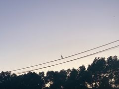 -东钱湖旅游度假区