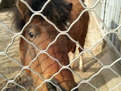 -意大利农场度假村