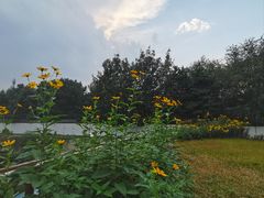 -舍利塔滩地公园-无垢净光舍利塔