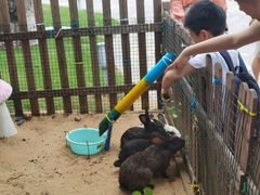 -三亚海棠湾万丽度假酒店