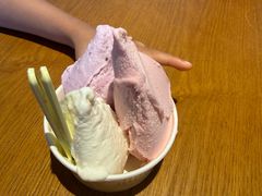 -陕拾叁-西安糕点(北院门创始店)