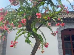 -西安化觉巷清真大寺