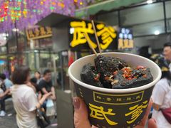 -武爹臭豆腐(坡子街店)