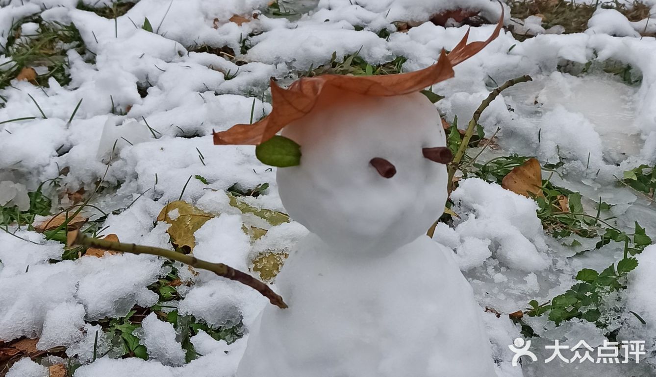 东环公园雪景和黄叶