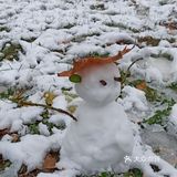 东环公园雪景和黄叶