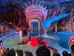 -烟台海昌鲸鲨海洋公园