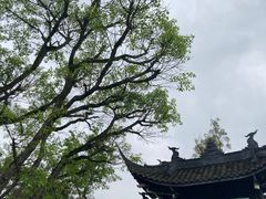 -中国观音故里广德景区