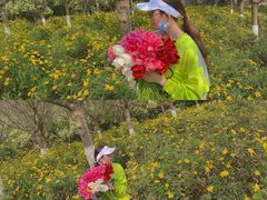 -秀丽东方