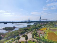 -芒洲湿地公园