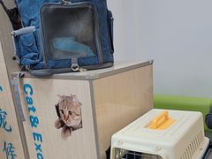 -北京观赏动物医院·24小时大型综合·猫专科·异宠专科